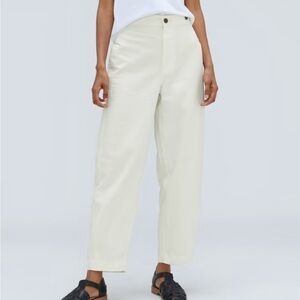Everlane The Fatigue Barrel Pants